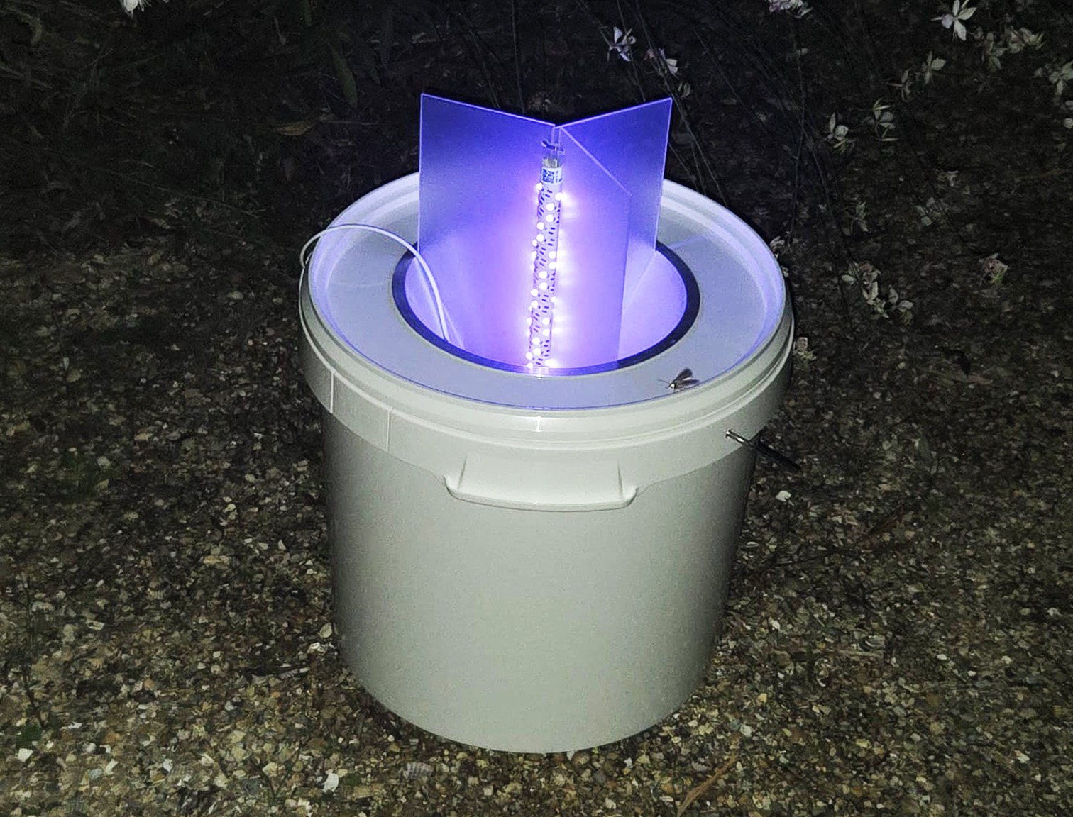 led emmer1
